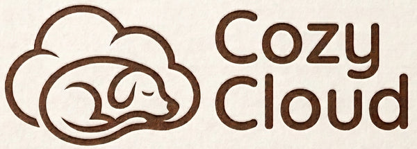 CozyCloud
