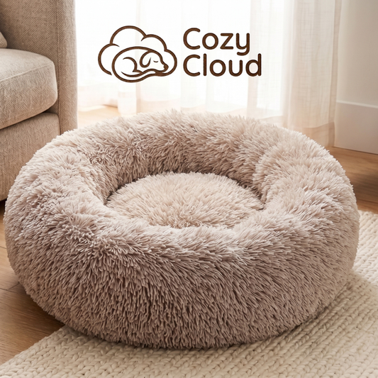 Cozy Cloud kuckó