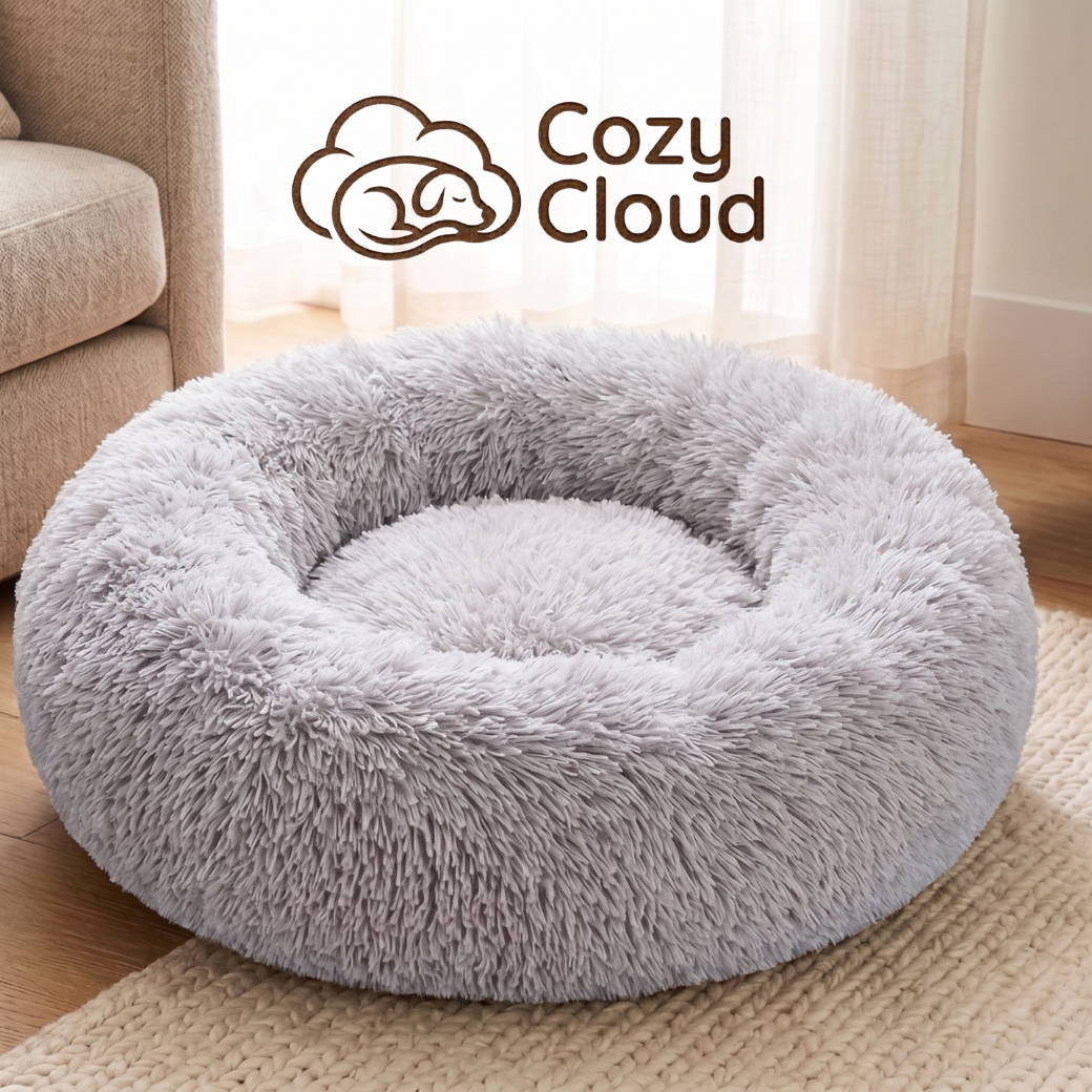 Cozy Cloud kuckó