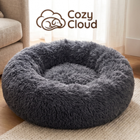 Cozy Cloud kuckó