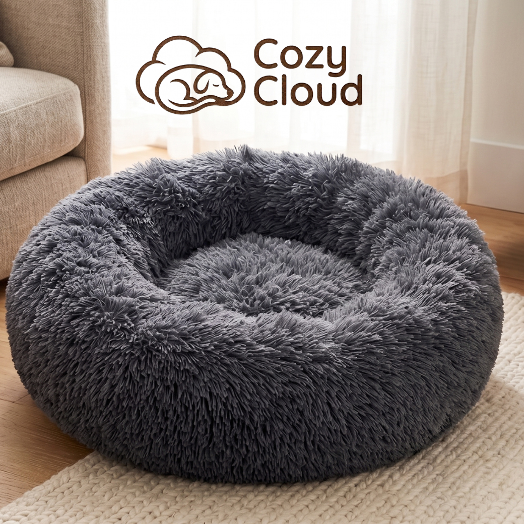 Cozy Cloud kuckó